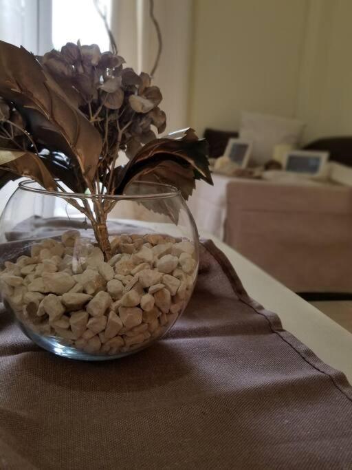 Corfu Escape Four Apartment Agios Georgios Pagon